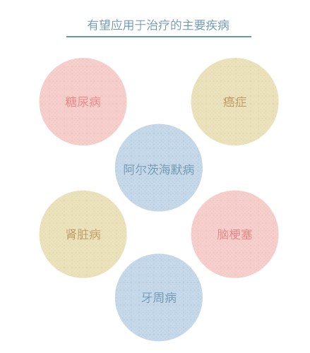 干细胞3.PNG