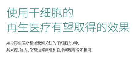 干细胞4.PNG