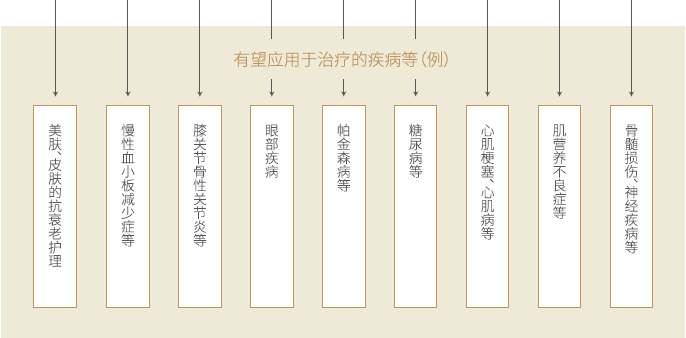 干细胞6.PNG