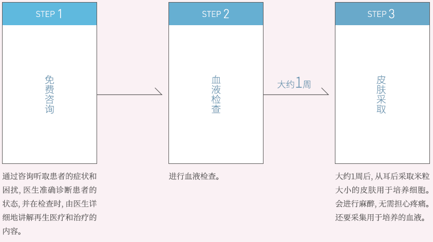 成纤维3.PNG