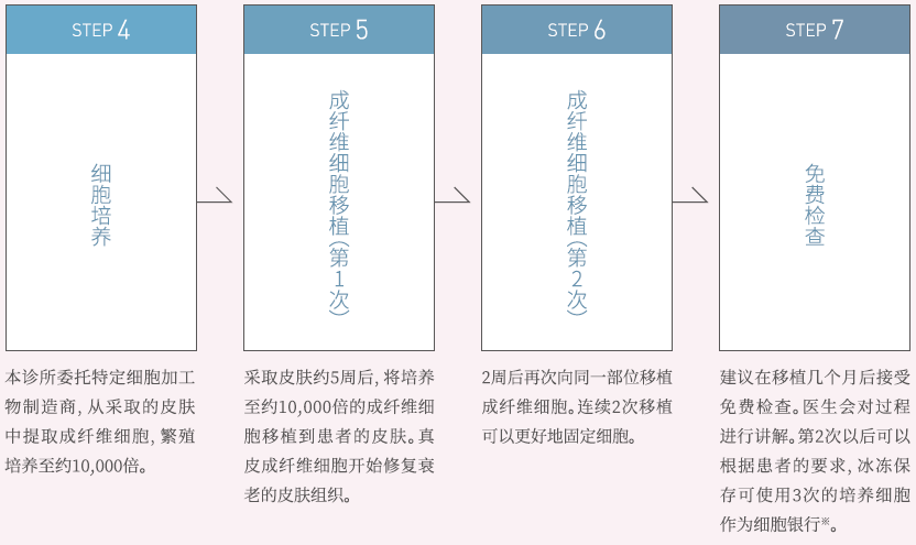 成纤维4.PNG